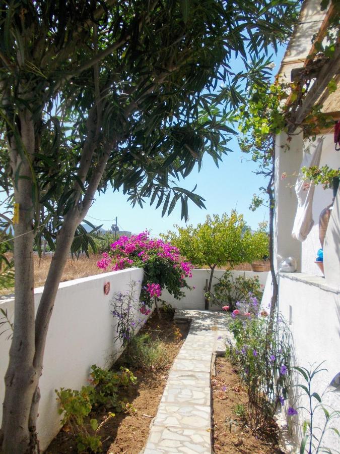 Nyfes Traditional Boutique Faltaina Skyros Exterior foto