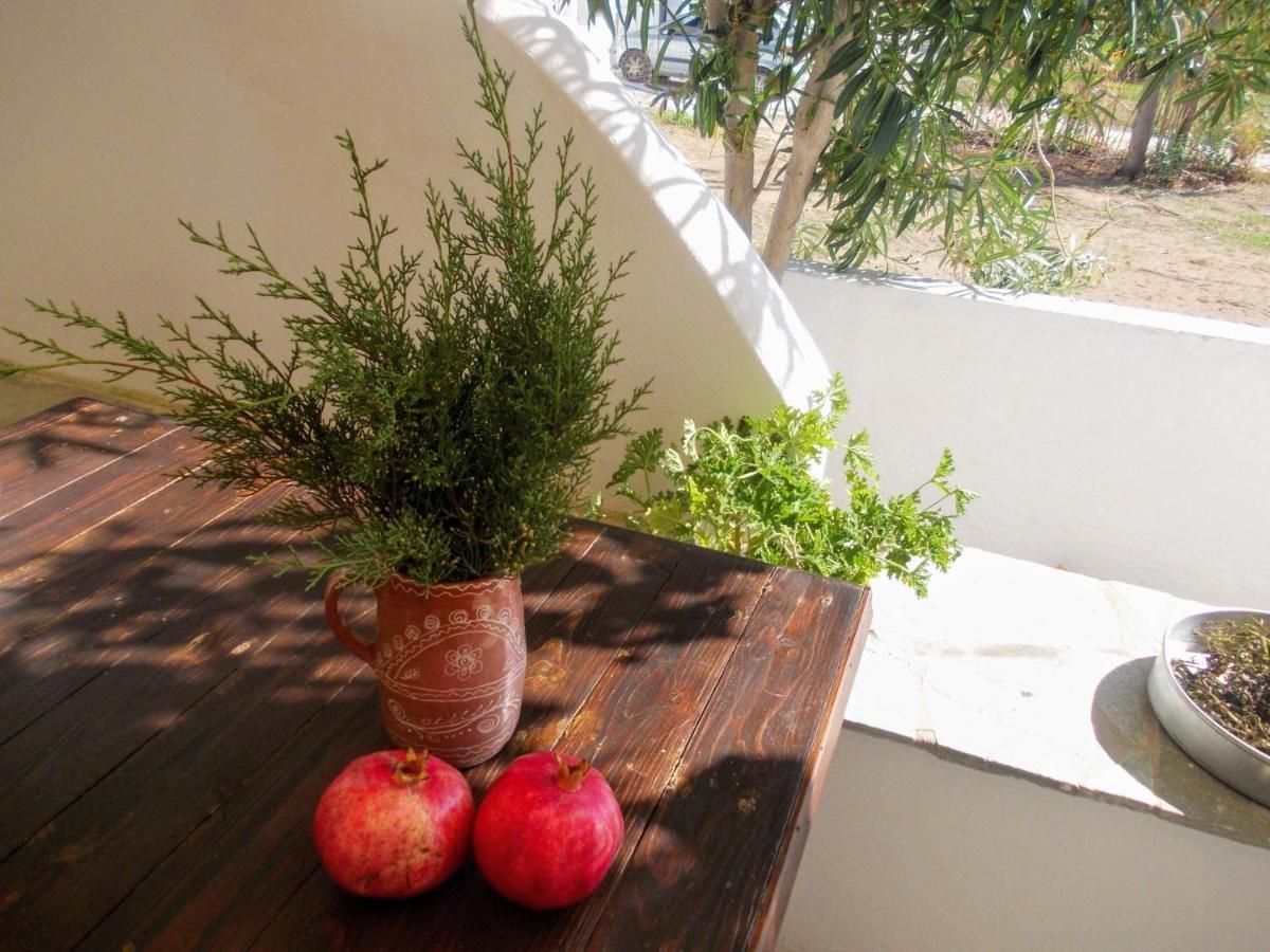 Nyfes Traditional Boutique Faltaina Skyros Exterior foto