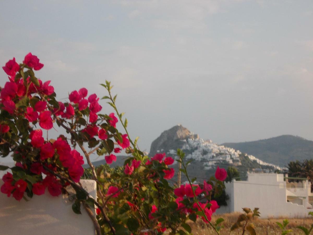 Nyfes Traditional Boutique Faltaina Skyros Exterior foto