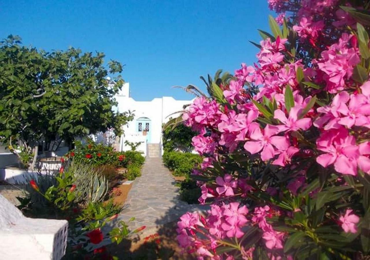 Nyfes Traditional Boutique Faltaina Skyros Exterior foto